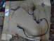 complete harness for tailgate..jpg